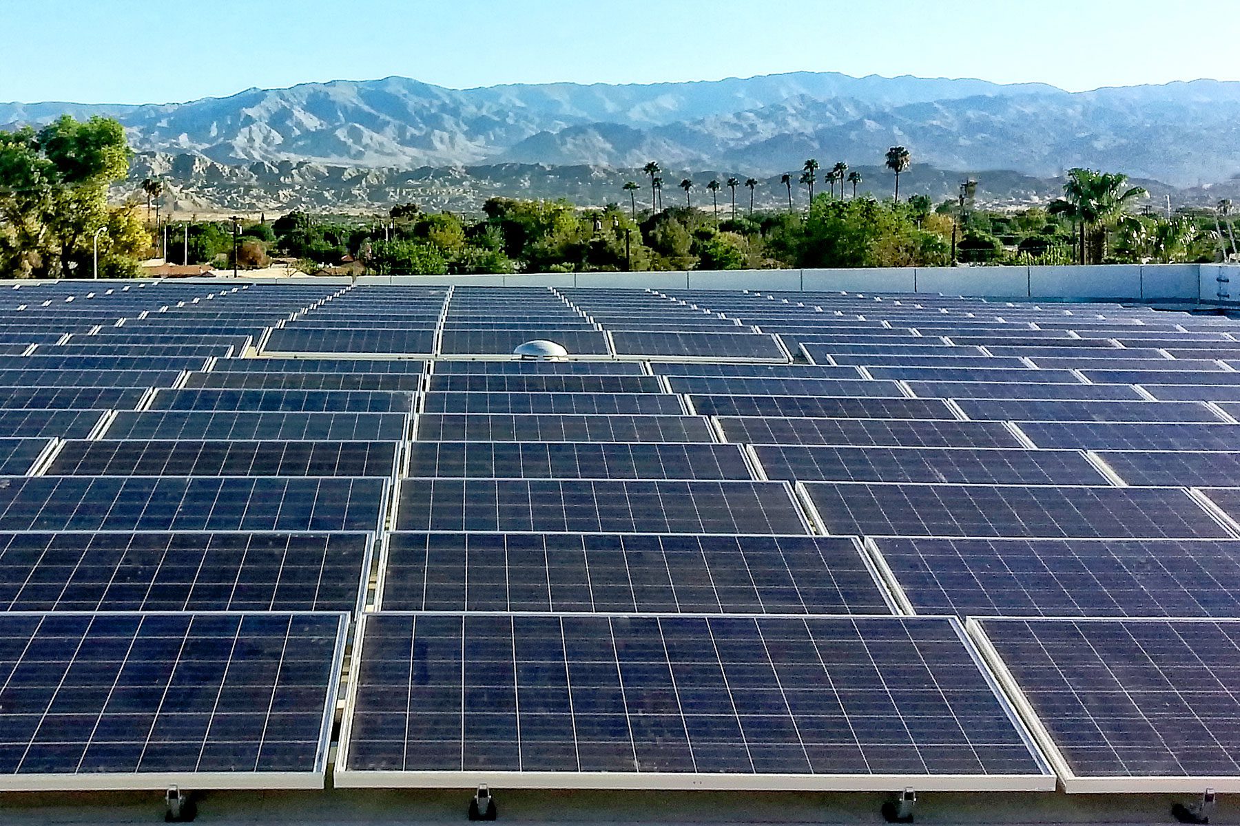 DiMare Company (2014)